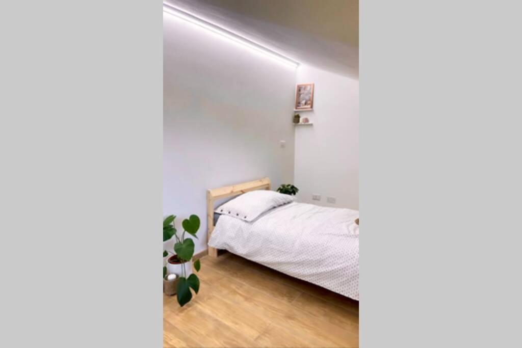 Apartamento La Casa Al Mare Di Luca Bellaria-Igea Marina Exterior foto